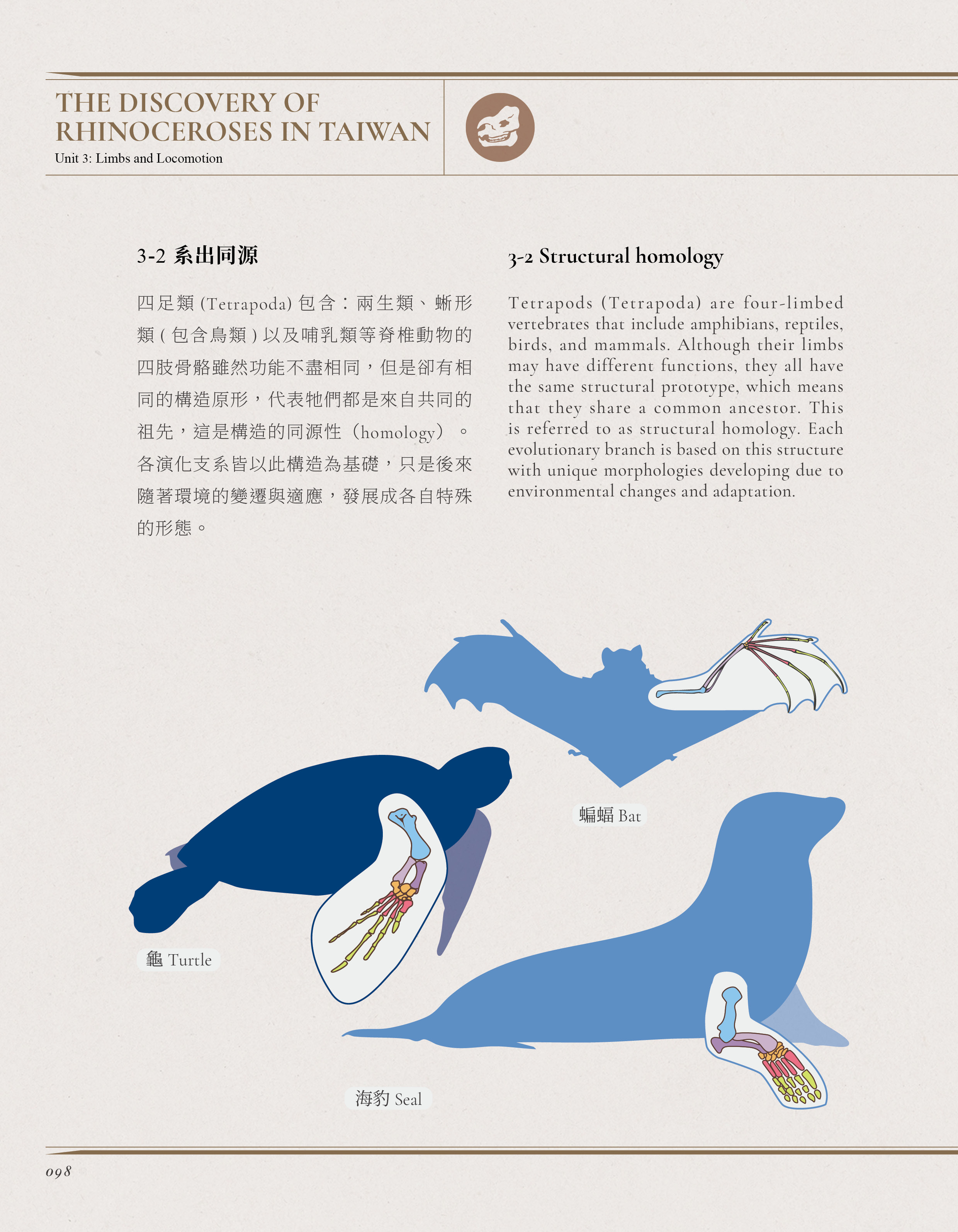 構造同源性科學圖解——四足動物四肢骨骼比較